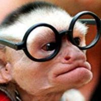 Smart animal